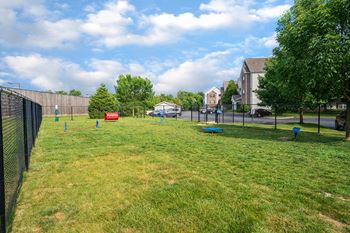 Off-leash dog park
